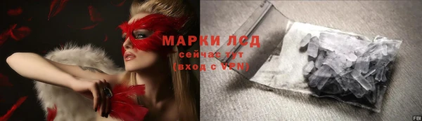 ГАЛЛЮЦИНОГЕННЫЕ ГРИБЫ Белоозёрский