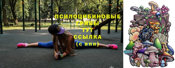 прущая мука Белокуриха