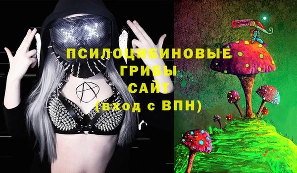 PSILOCYBIN Сатка