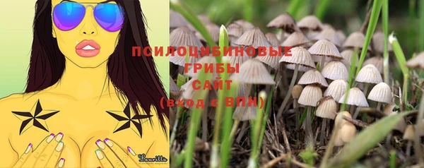 apvp Беломорск