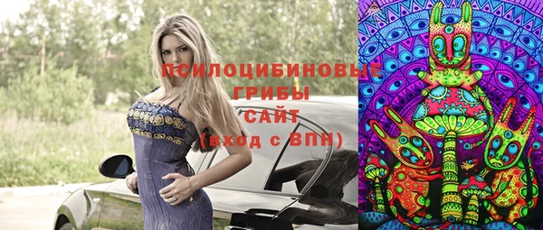 ГАЛЛЮЦИНОГЕННЫЕ ГРИБЫ Белоозёрский