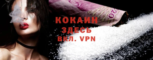 PSILOCYBIN Сатка