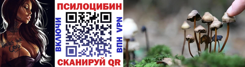 Галлюциногенные грибы ЛСД Луховицы